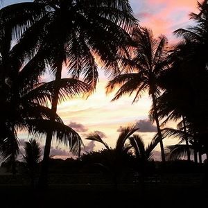 Meet your Posher, Natalia